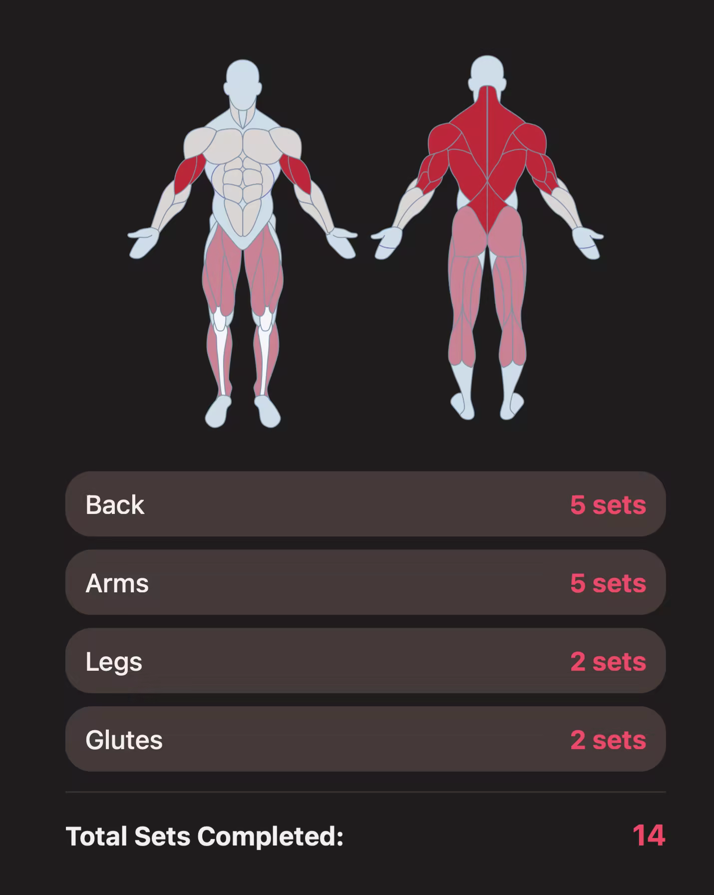Workout summary showing muscle groups trained and total sets completed